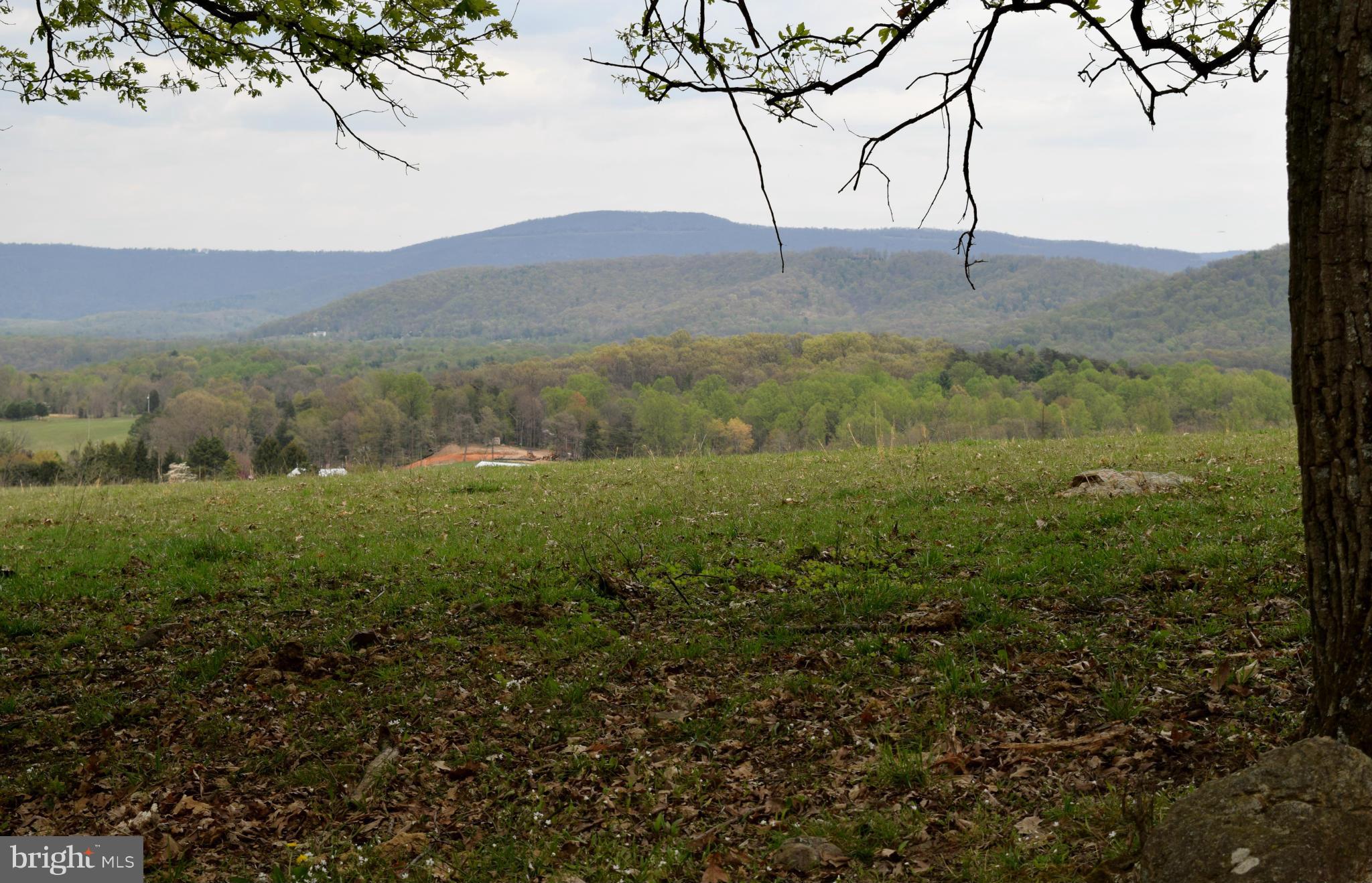 0 Catron Ridge Road Bentonville, VA 22610 - Photo 12 of 30 View