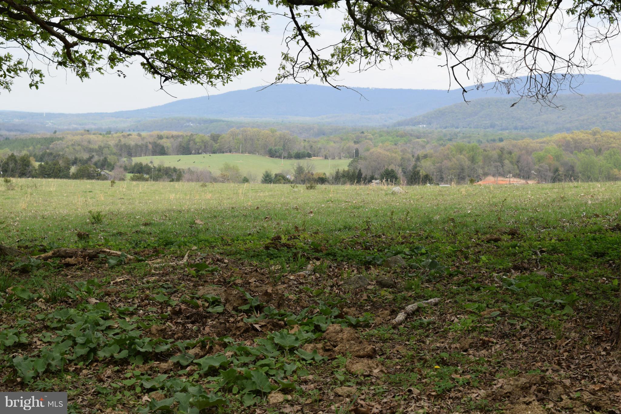 0 Catron Ridge Road Bentonville, VA 22610 - Photo 13 of 30 View