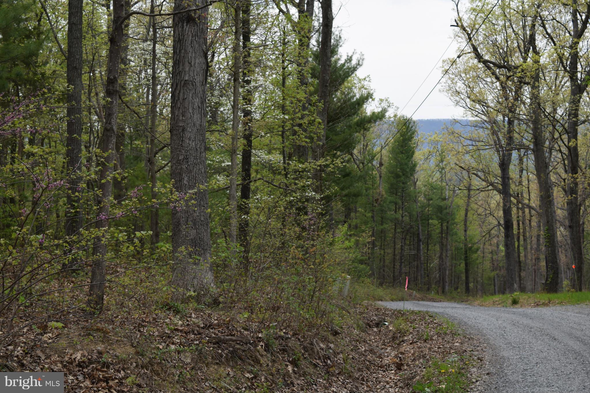 0 Catron Ridge Road Bentonville, VA 22610 - Photo 14 of 30 View