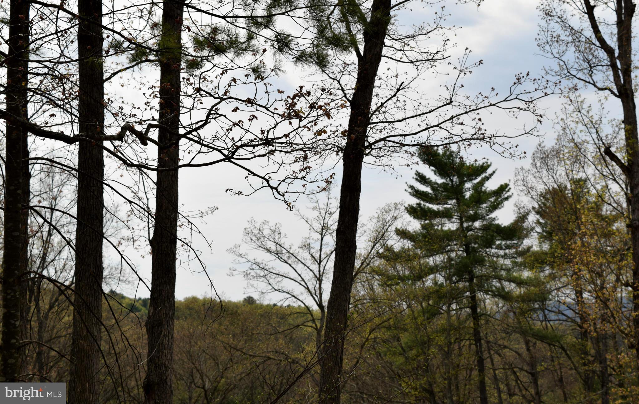 0 Catron Ridge Road Bentonville, VA 22610 - Photo 20 of 30 View