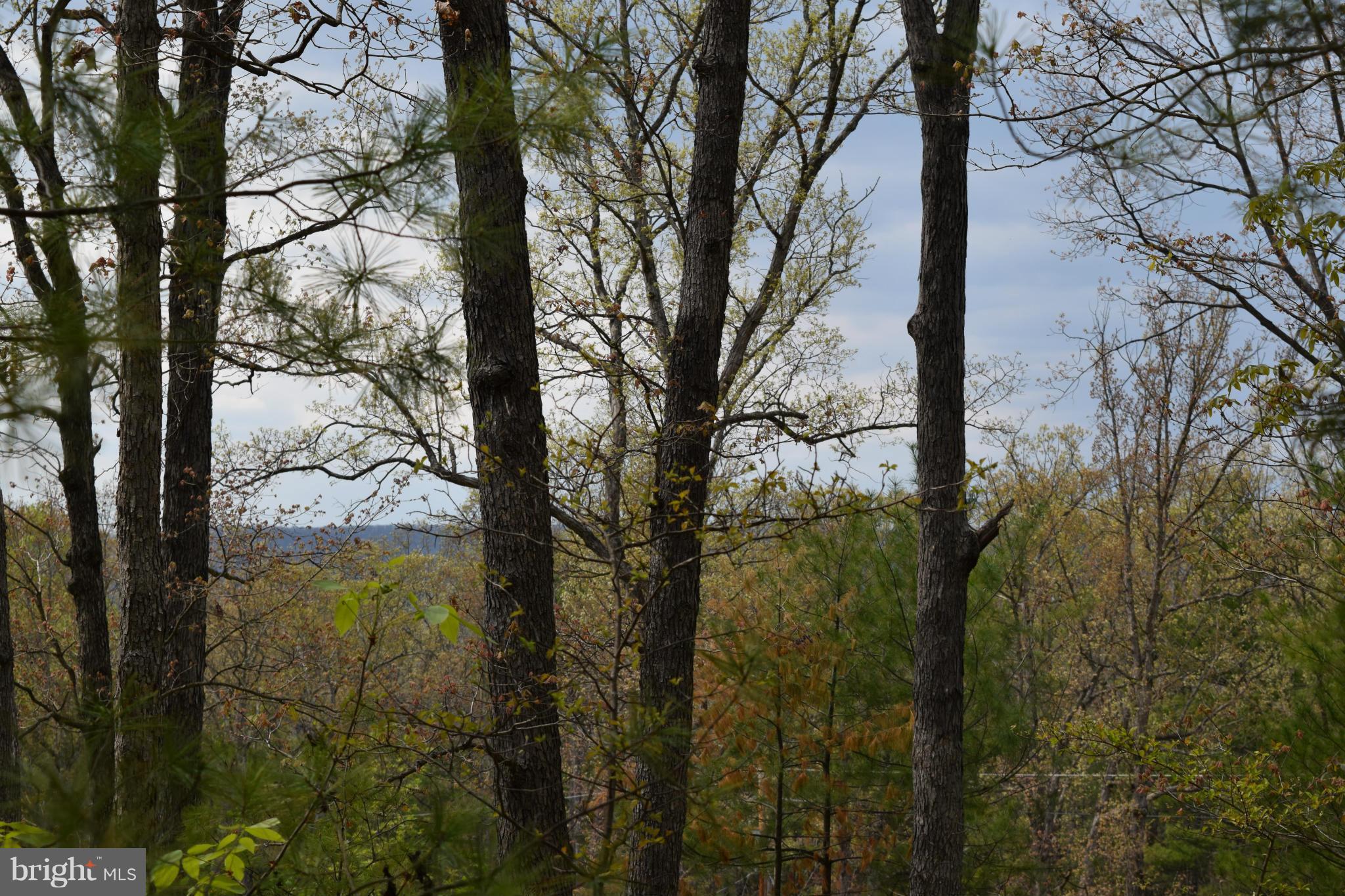 0 Catron Ridge Road Bentonville, VA 22610 - Photo 22 of 30 View