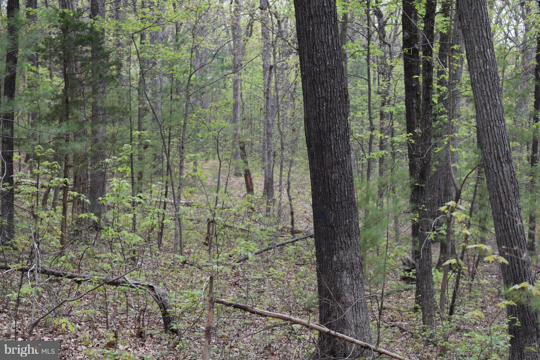 0 Catron Ridge Road Bentonville, VA 22610 - Photo 27 of 30 View