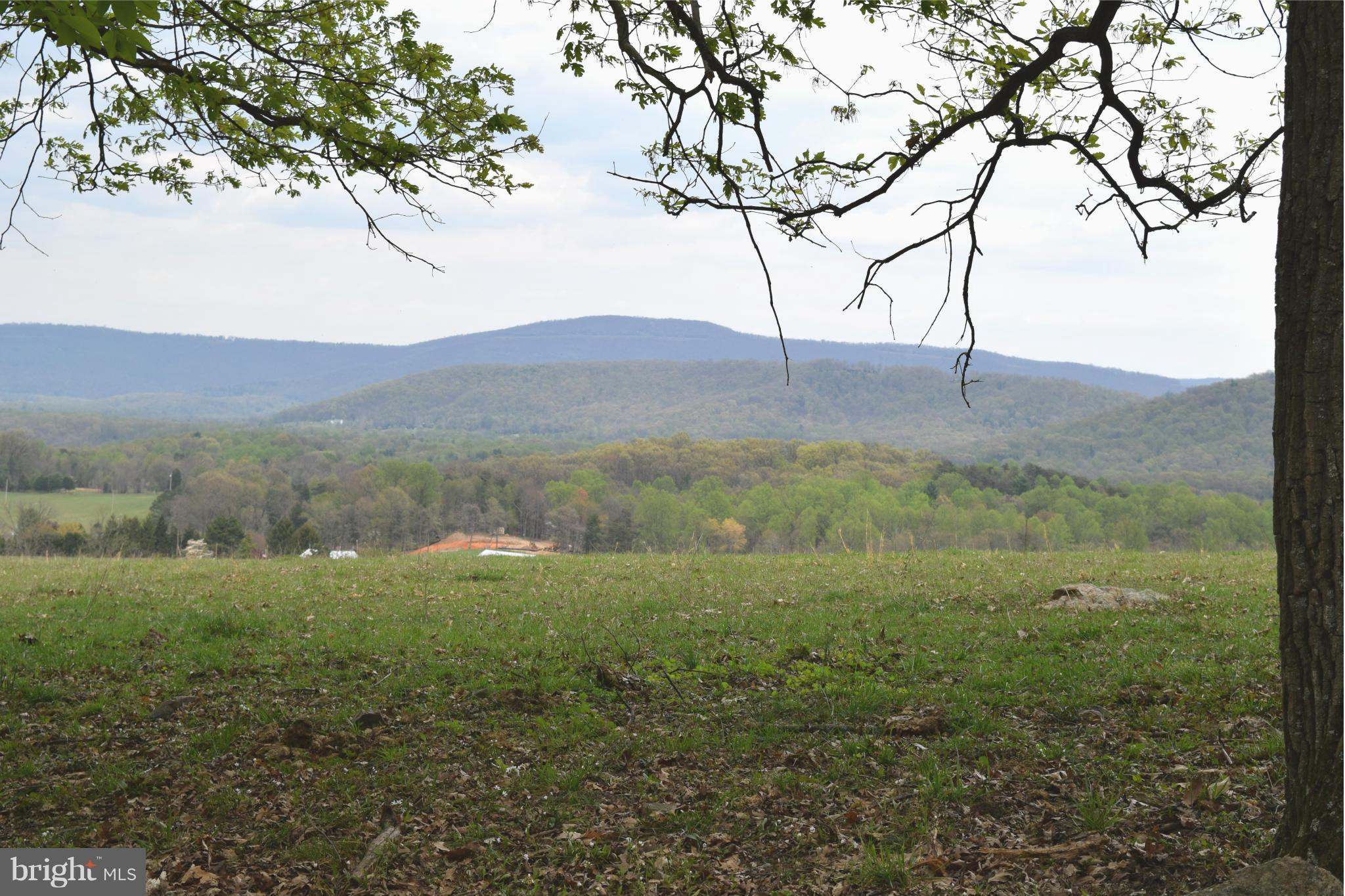 0 Catron Ridge Road Bentonville, VA 22610 - Photo 30 of 30 View