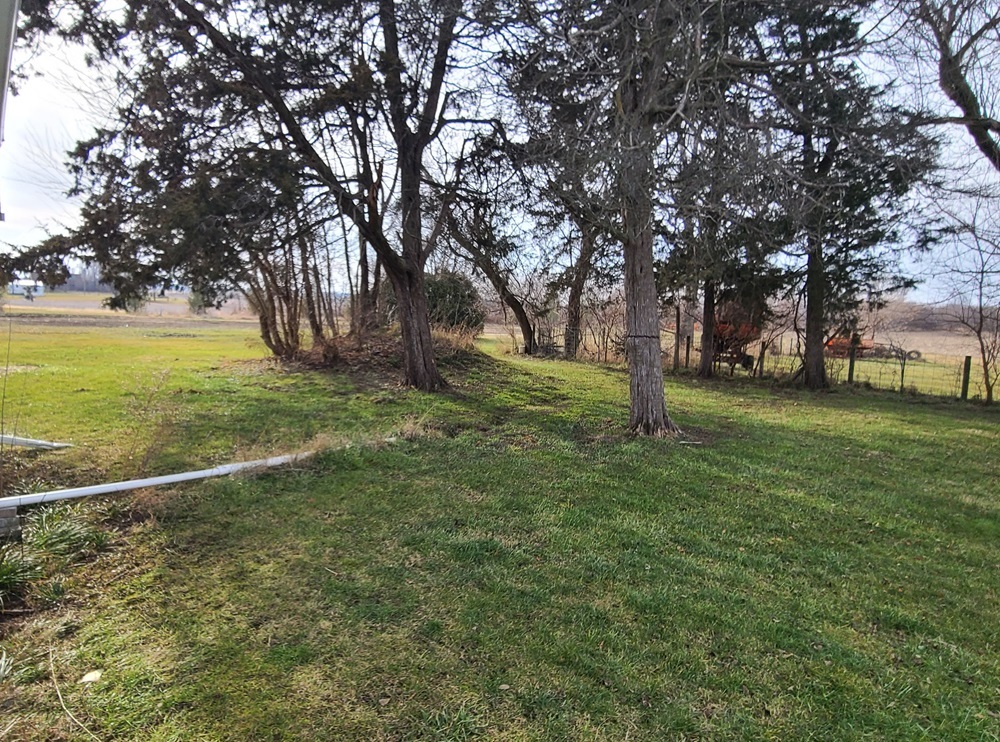 905 Walton Road Dixon, IL 61021 - Photo 18 of 18 a view of a trees with a yard