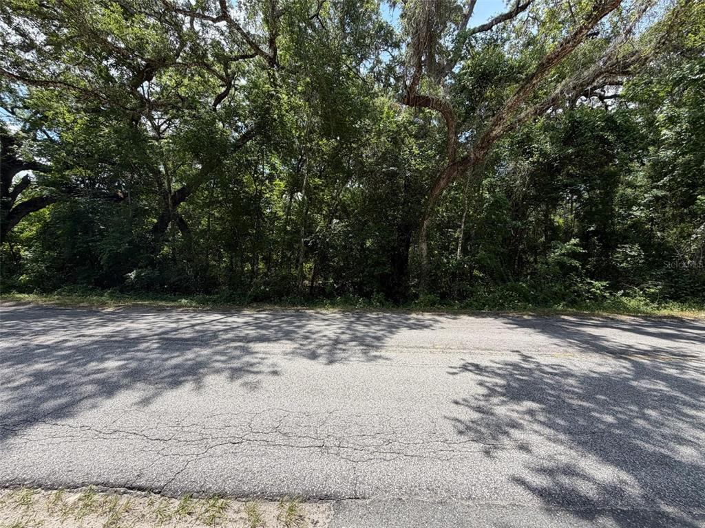 0 C R 656 Webster, FL 33597 - Photo 3 of 5