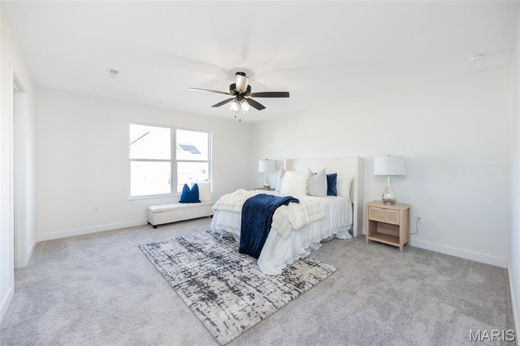 305 Frontenac Road O'Fallon, IL 62269 - Photo 19 of 35