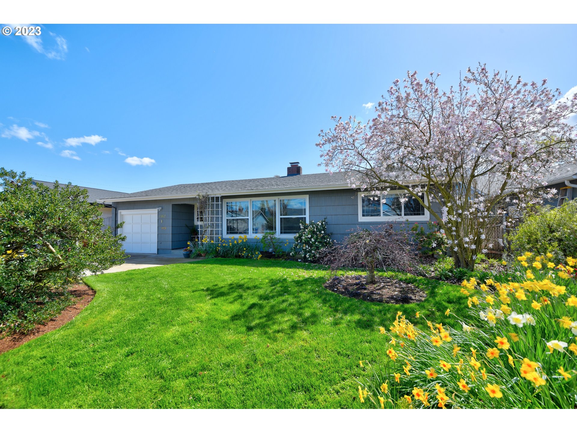 1267 N Street Springfield, OR 97477 - Photo 1 of 27 a front view of a house with a yard