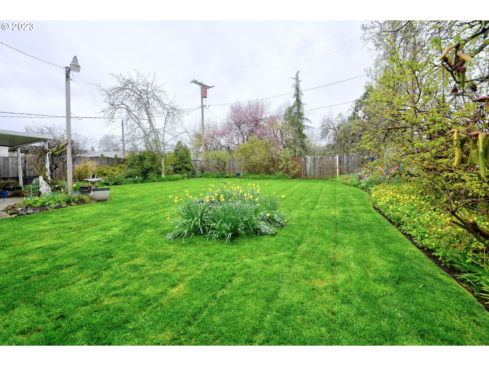 1267 N Street Springfield, OR 97477 - Photo 25 of 27 a view of a back yard