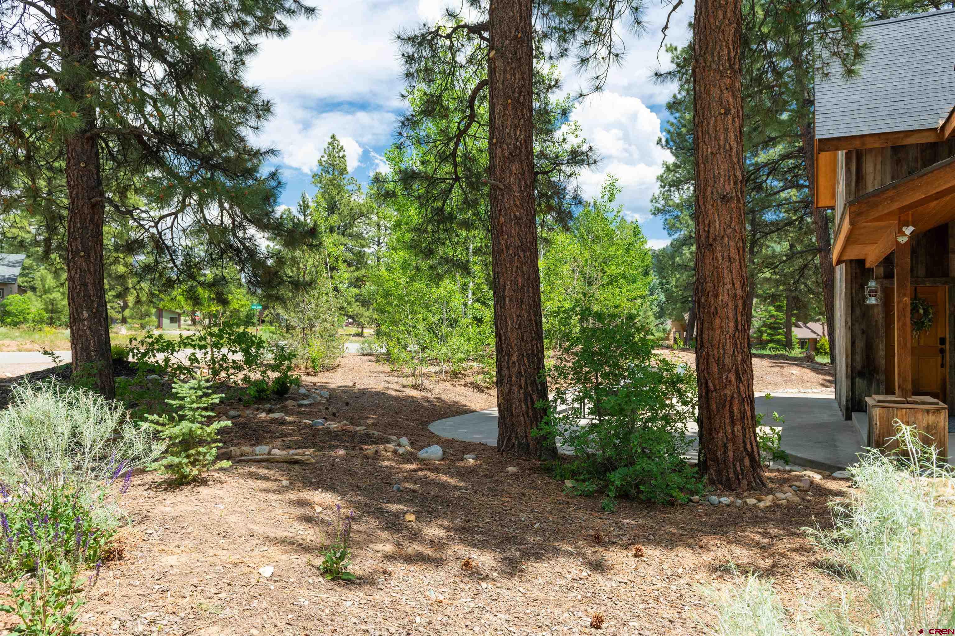 15 Edgemont Way Durango, CO 81301 - Photo 9 of 35 a view of a trees and tree in a yard