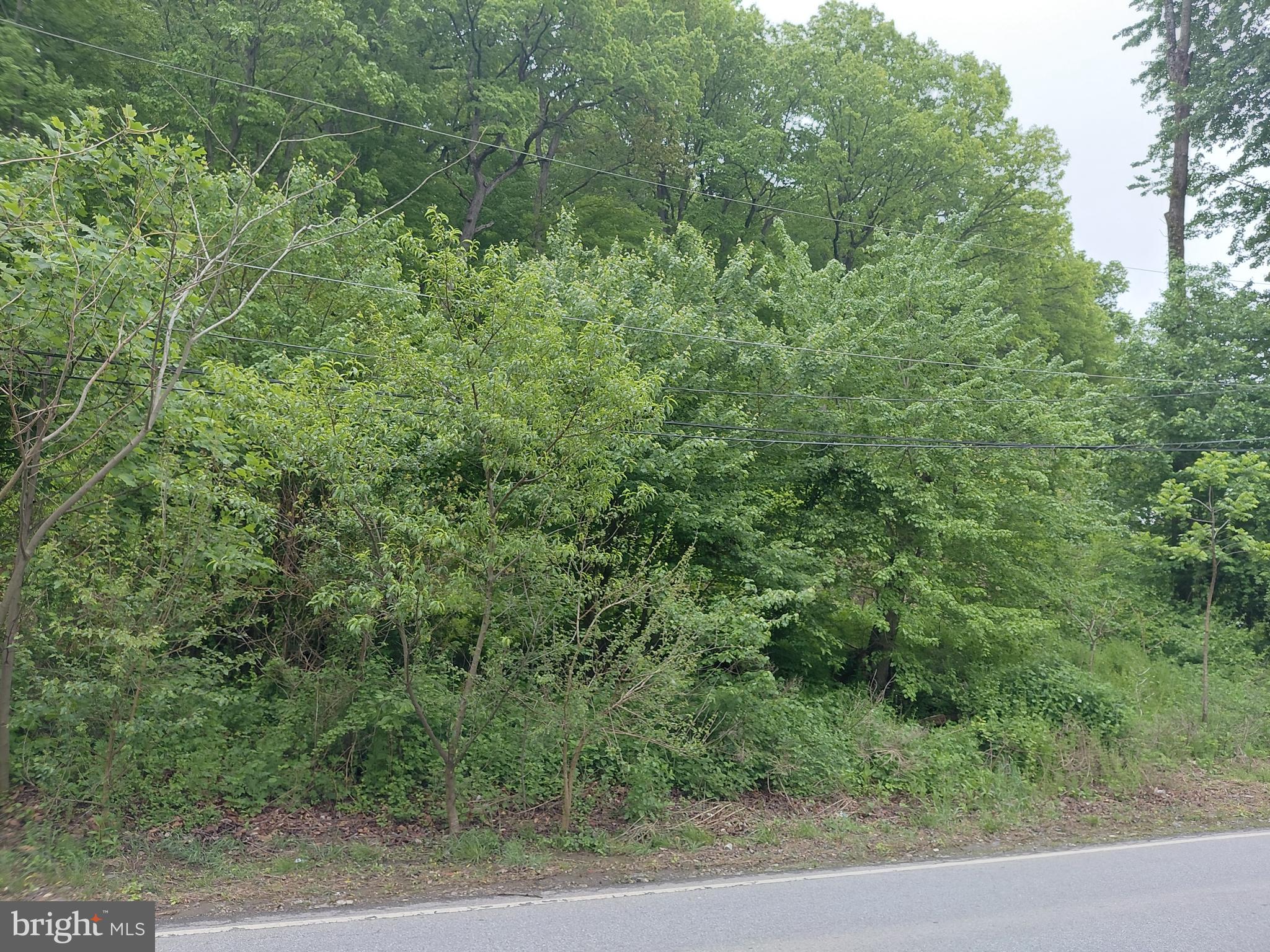 115 Pennell Road Media, PA 19063 - Photo 3 of 3
