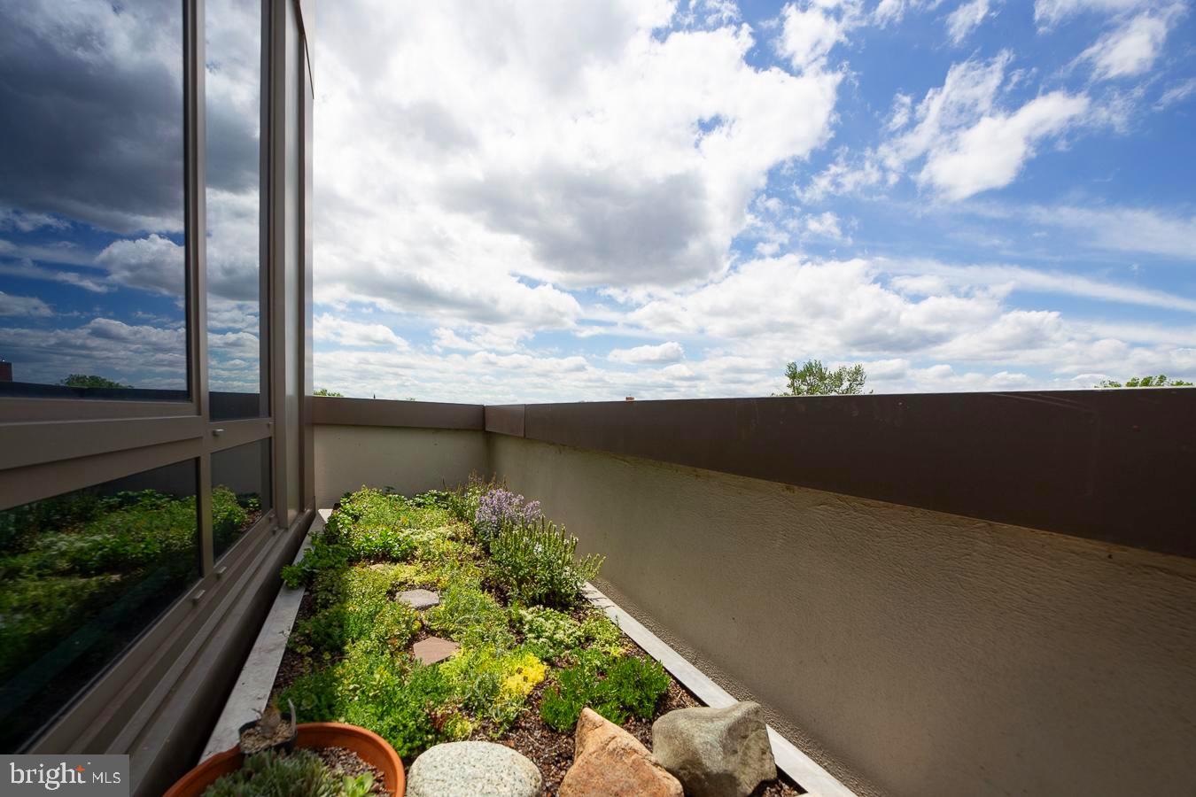 1111 Pennsylvania Ave. Southeast, Unit 409 Washington, DC 20003 - Photo 6 of 26 a view of a garden