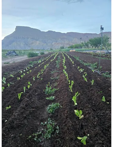 a view of a street with a mountain
