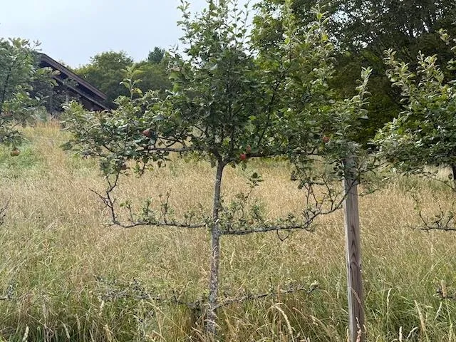 $749,000 | 2208 Backway Road, Corinth, VT 05039