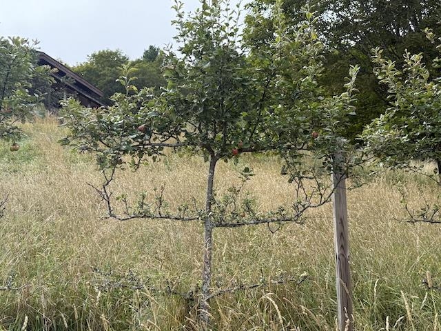 2208 Backway Road Corinth, VT 05039 - Photo 41 of 59