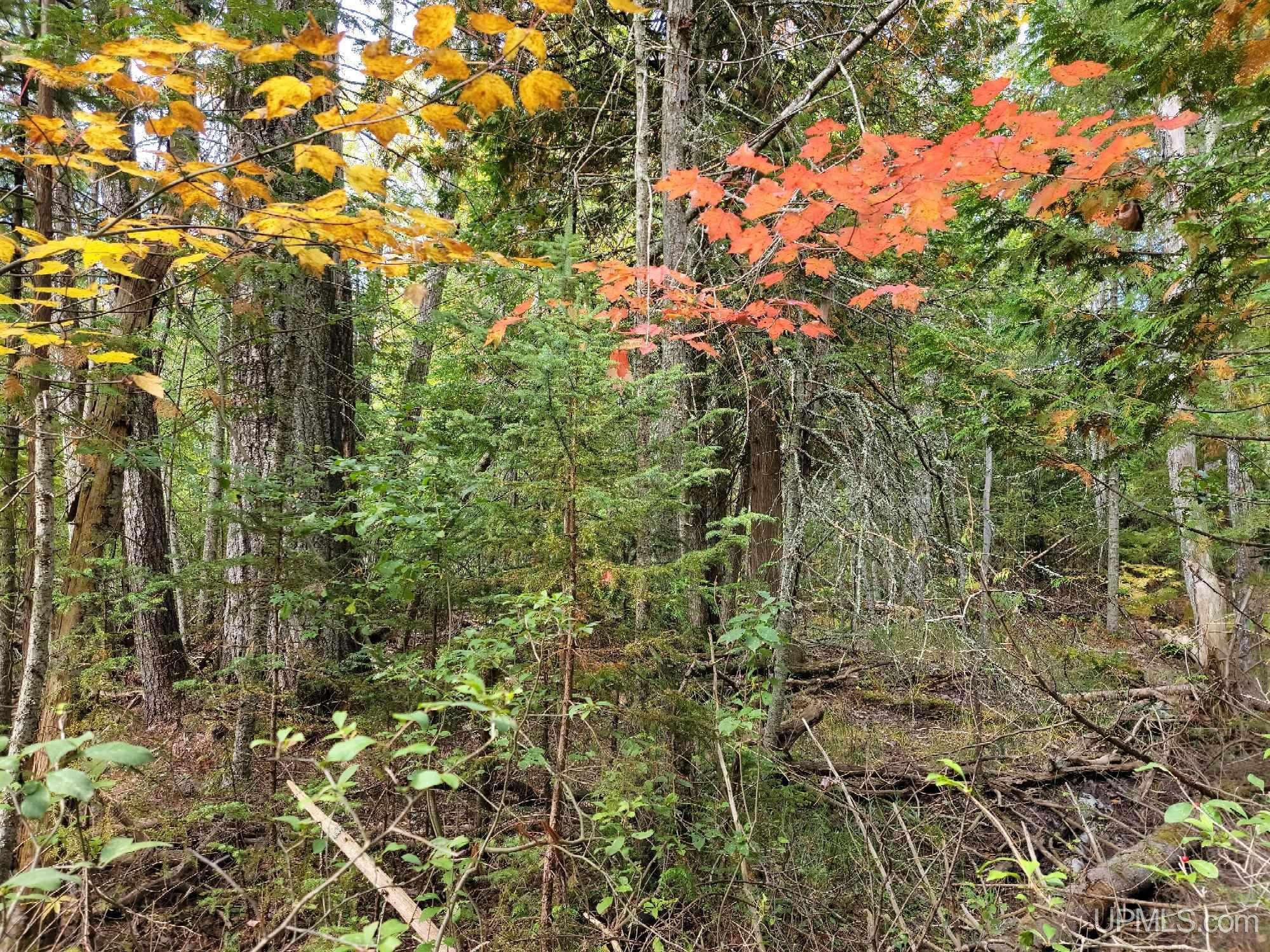 441 Rd Manistique Mi 49854 Road Manistique, MI 49854 - Photo 4 of 7