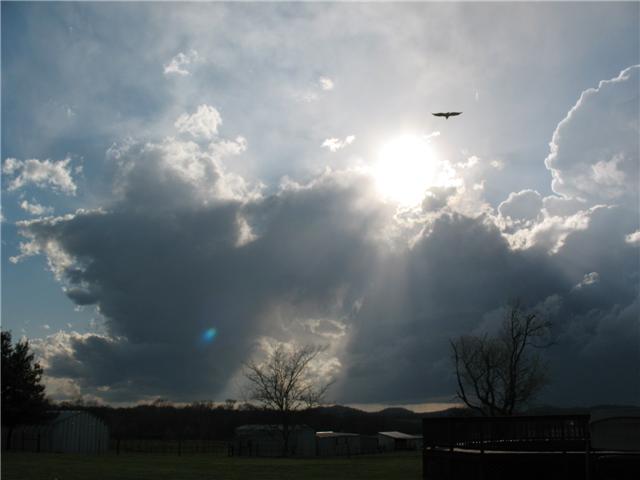 2487 Tom Anderson Road Franklin, TN 37064 - Photo 17 of 20 Your little piece of heaven.