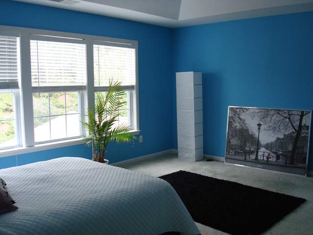 106 Collier Lane Greer, SC 29650 - Photo 8 of 15 Gallery Image 8