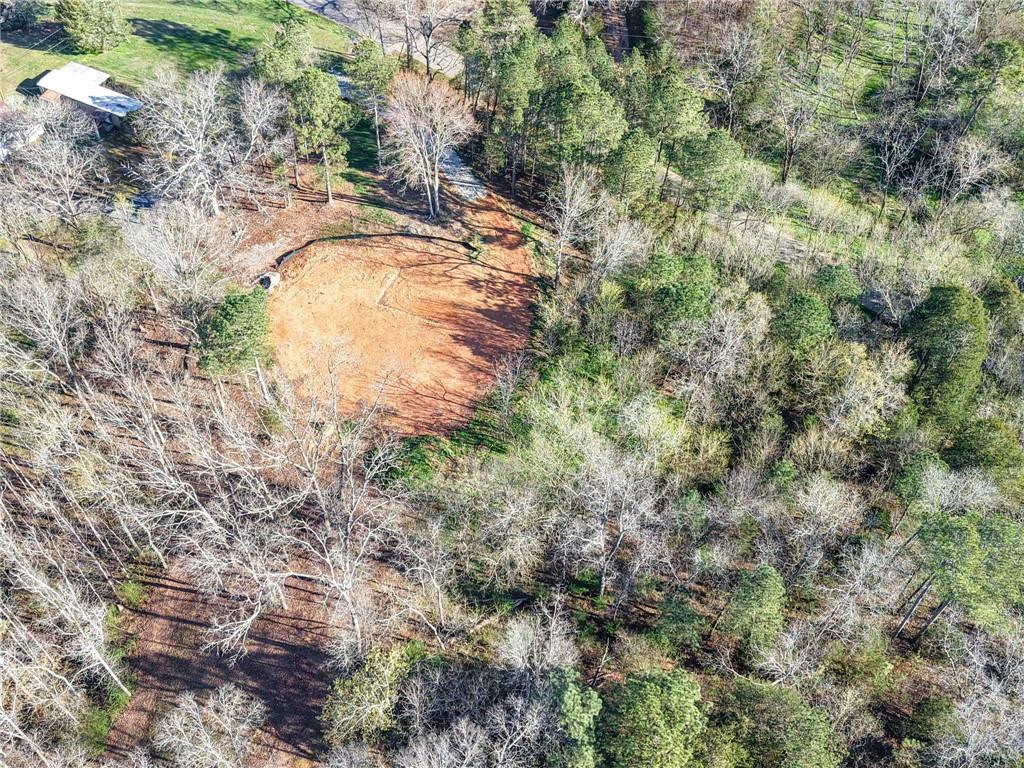 114 Folsom Road Northwest Adairsville, GA 30103 - Photo 17 of 20 a view of a forest with a tree