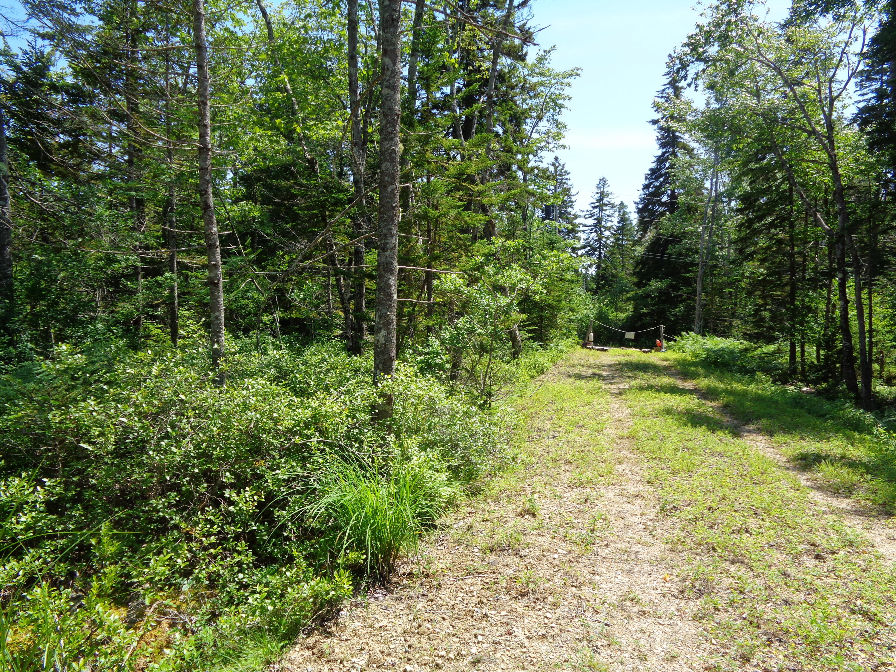 143 B Rocky Gulch Road Steuben, ME 04680 - Photo 19 of 30 Driveway