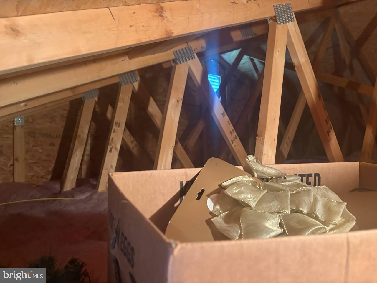 333 East Bailey Road Lewisburg, WV 24901 - Photo 55 of 57 Hidden treasures in the attic