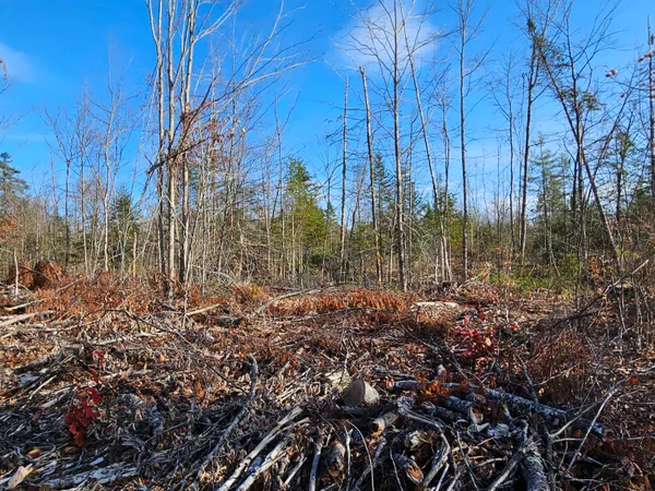 $84,000 | 33 Cape Cod Hill Road, New Sharon, ME 04955