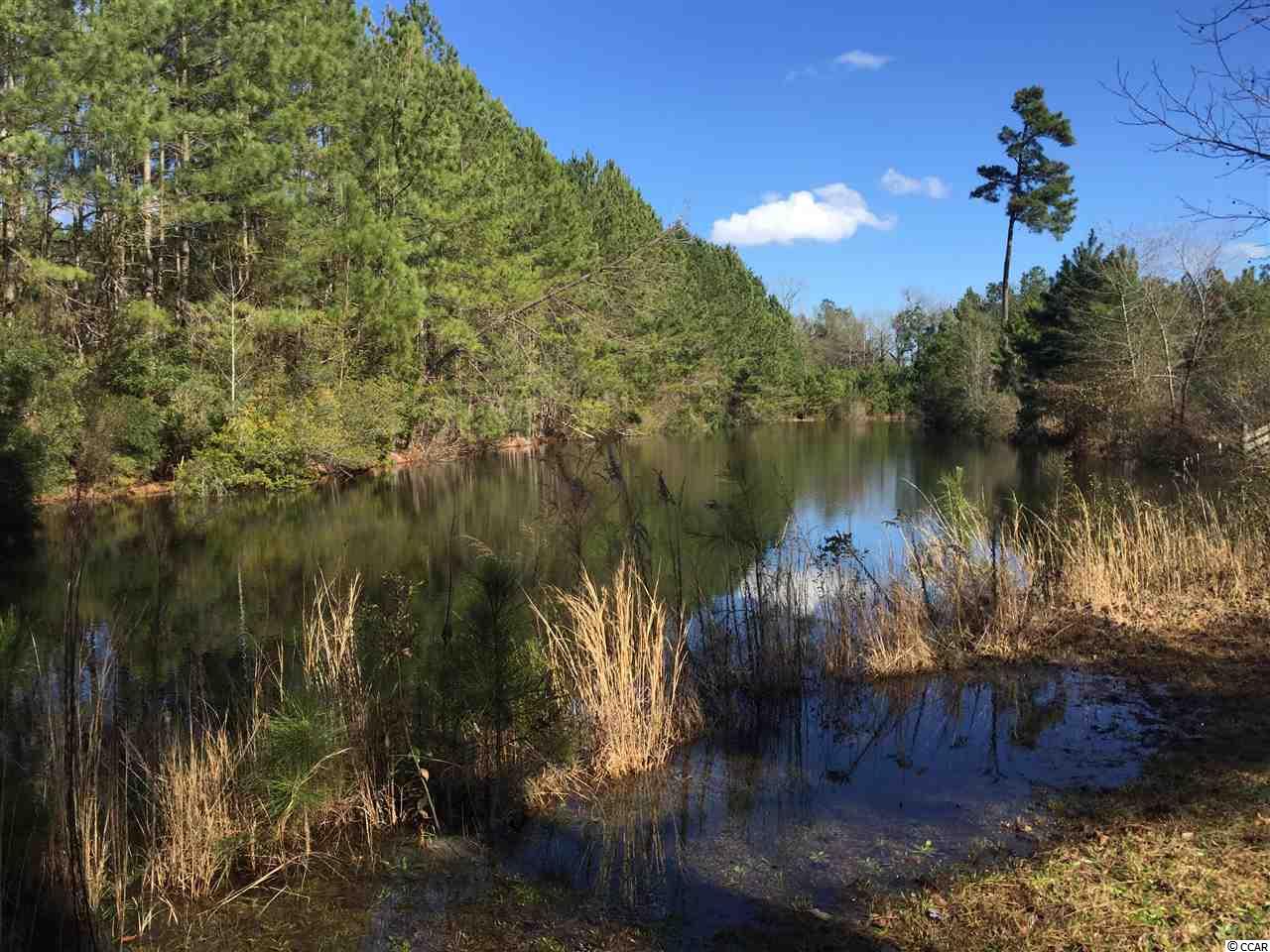 308 Faulk Road Marion, SC 29571 - Photo 23 of 25 Gallery Image 23