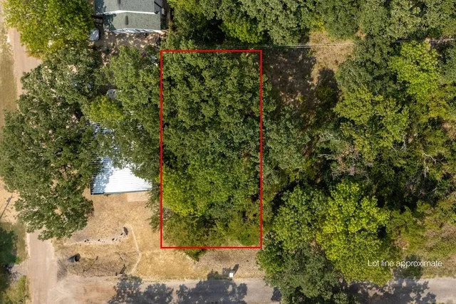 a view of a yard with plants and large trees