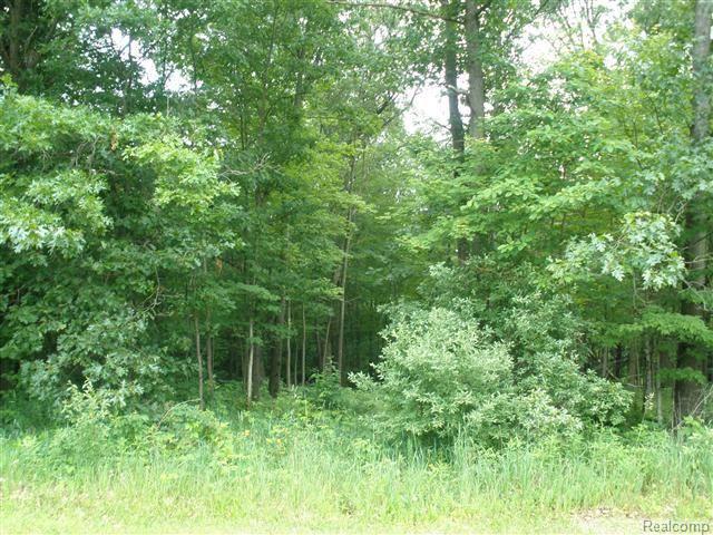 3746 Westphal Road Howell, MI 48843 - Photo 3 of 11 Wooded paradise