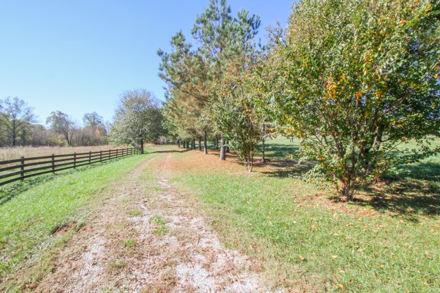 247 McMurtrey Road Pendleton, SC 29670 - Photo 29 of 30