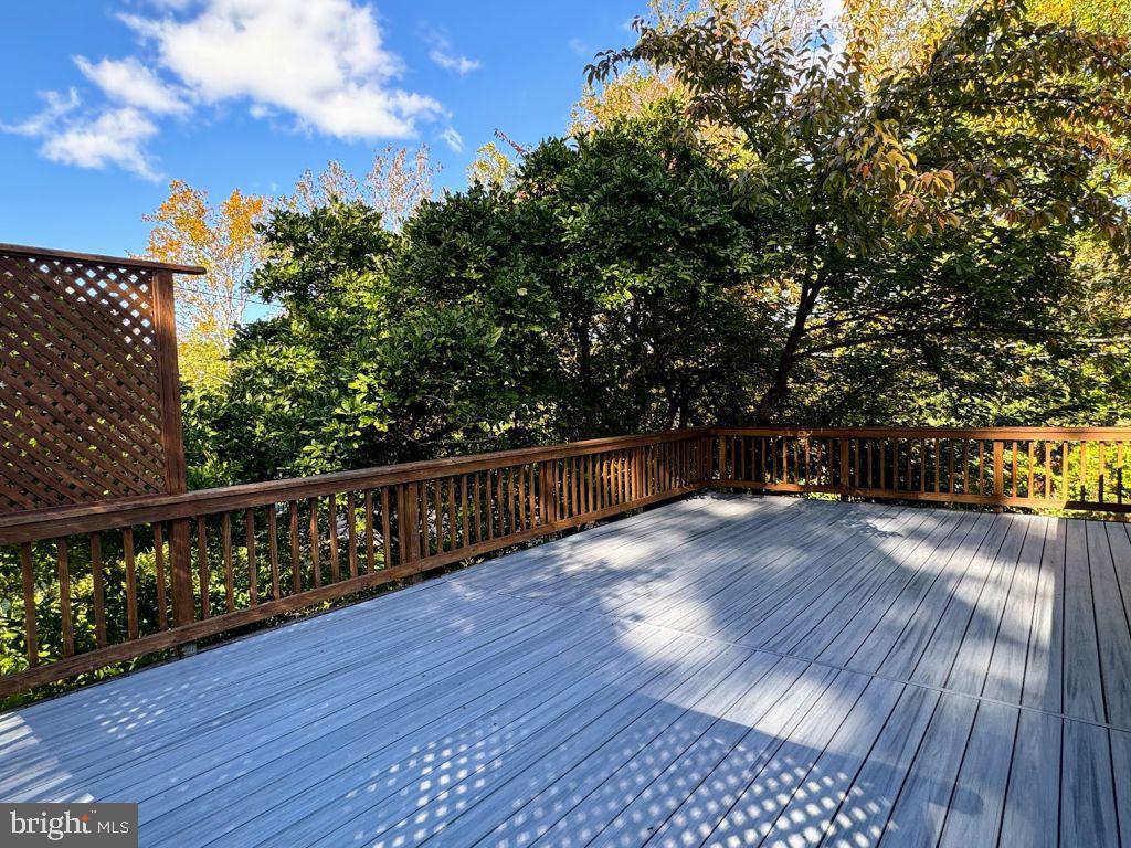 5881 9th Road North Arlington, VA 22205 - Photo 4 of 50