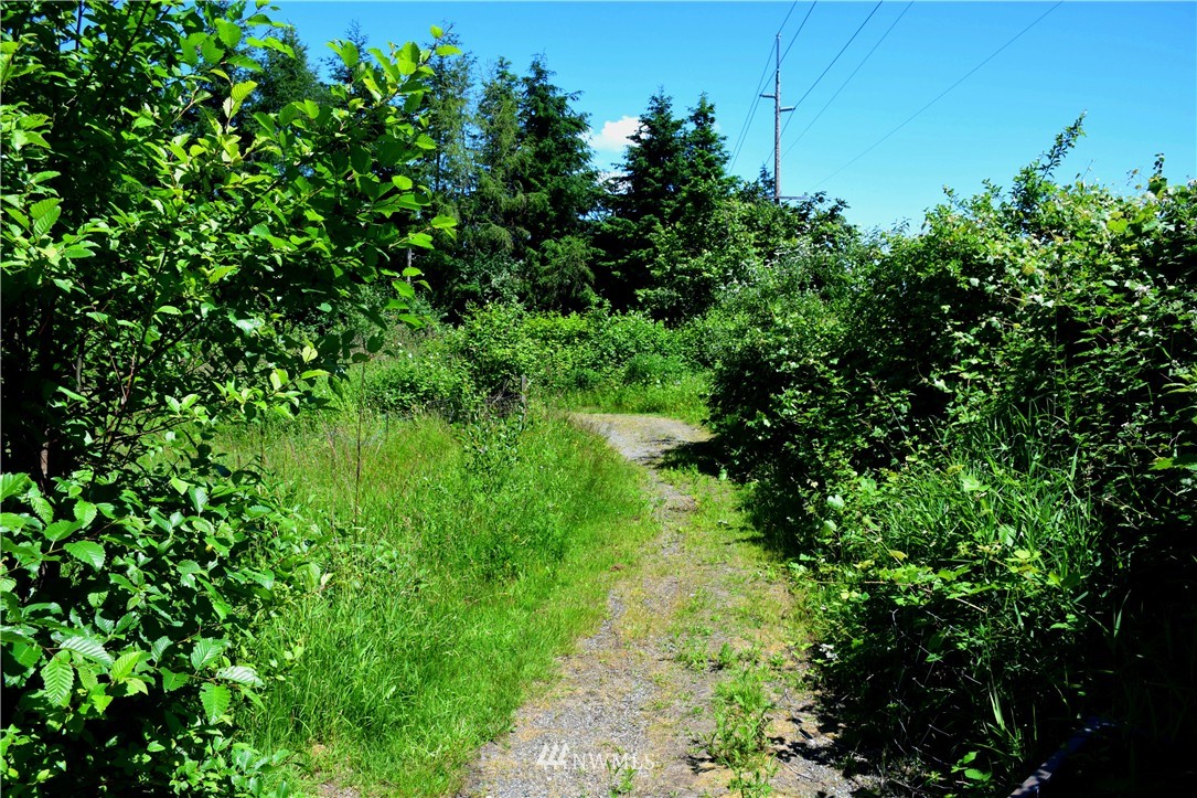 3922 Grandview Road Ferndale, WA 98248 - Photo 11 of 24