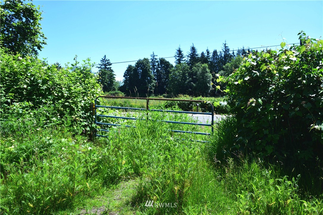 3922 Grandview Road Ferndale, WA 98248 - Photo 12 of 24