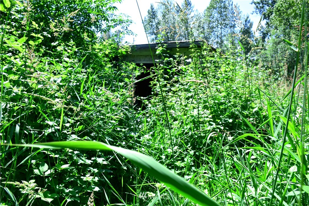 3922 Grandview Road Ferndale, WA 98248 - Photo 18 of 24