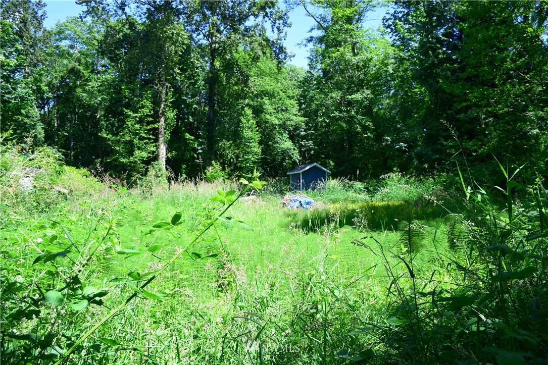 3922 Grandview Road Ferndale, WA 98248 - Photo 8 of 24