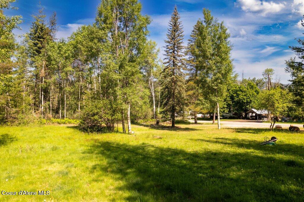 650 Lower Page Road Smelterville, ID 83868 - Photo 4 of 12 10431