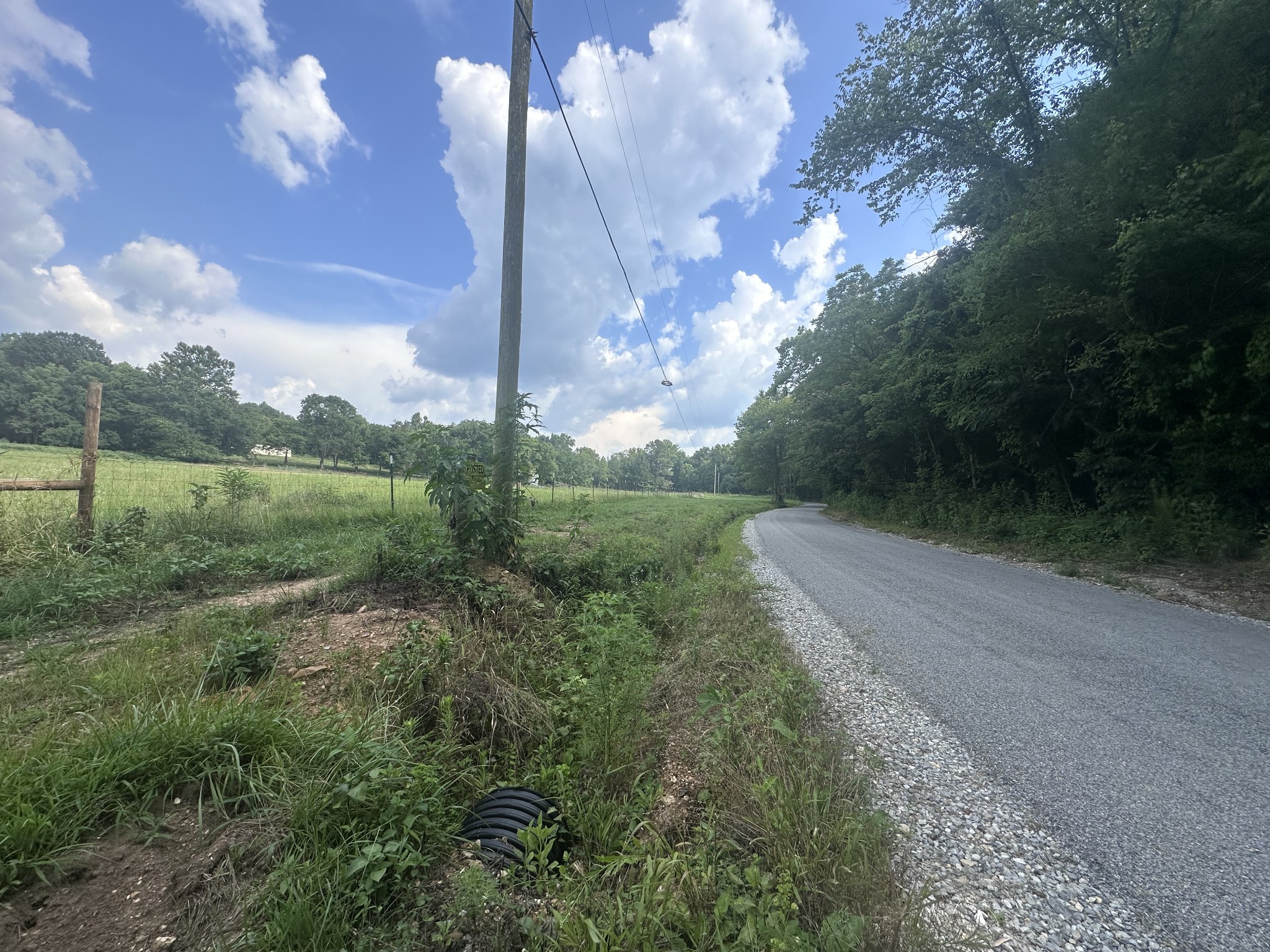 0 Lick Creek Road Dover, TN 37058 - Photo 5 of 14