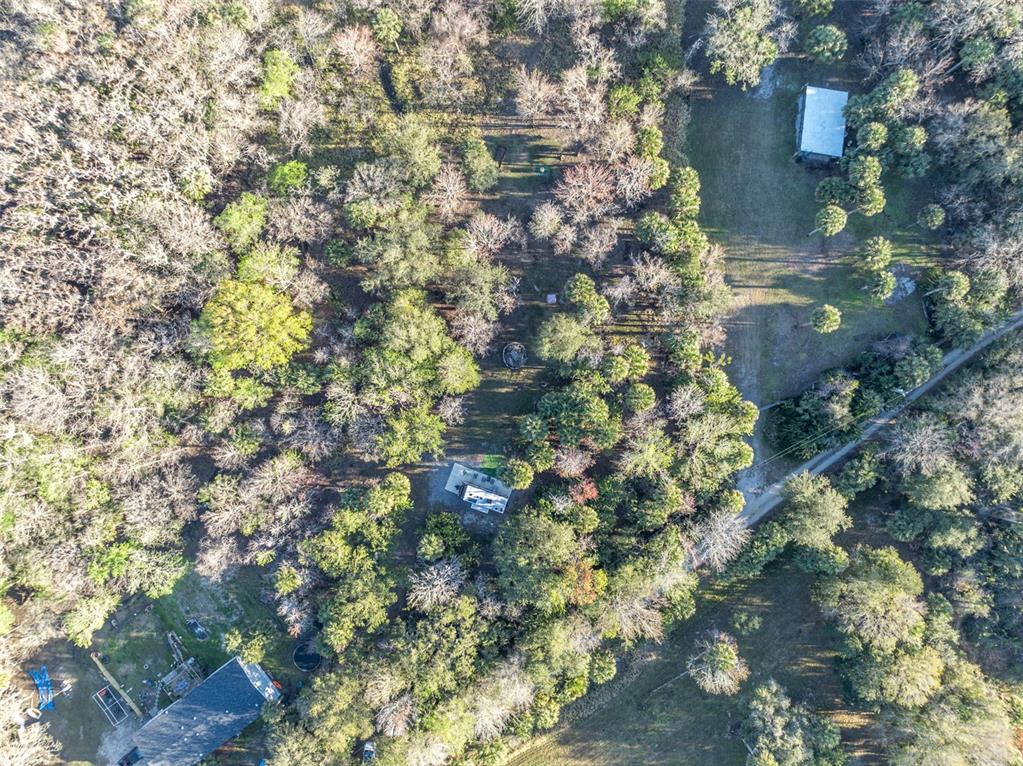 2740 Withlacoochee Point Geneva, FL 32732 - Photo 24 of 41