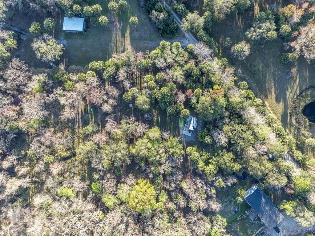 2740 Withlacoochee Point Geneva, FL 32732 - Photo 26 of 41