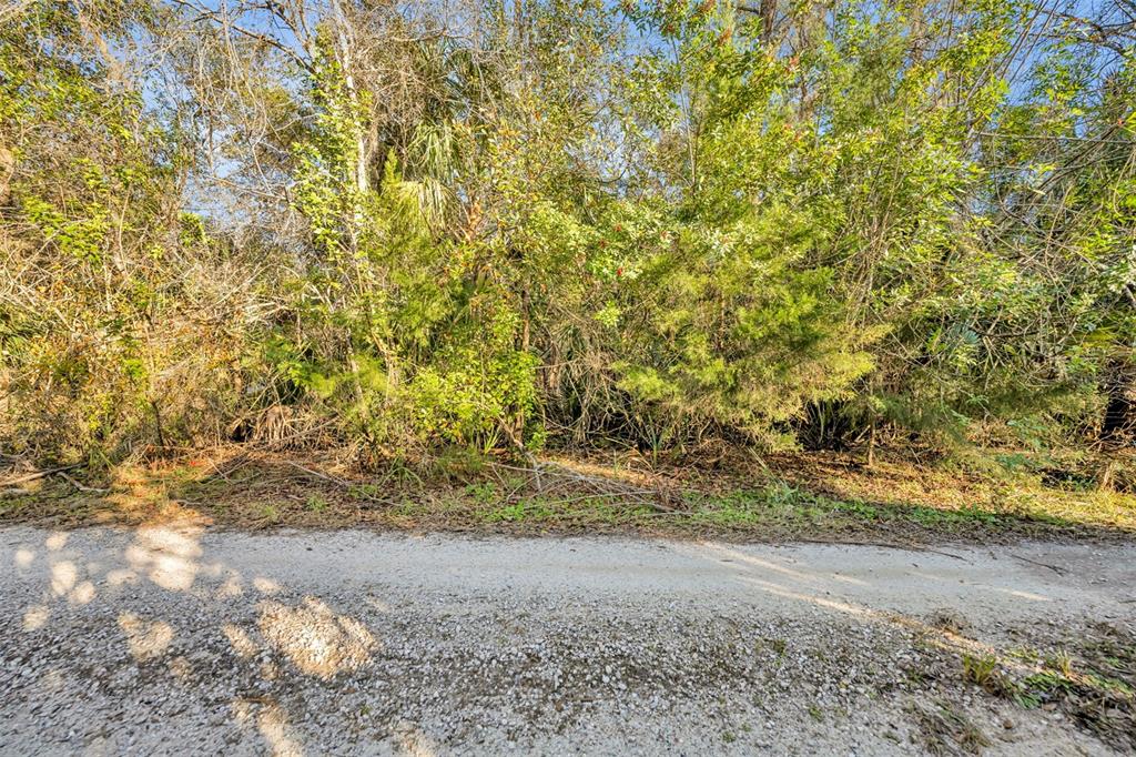 2740 Withlacoochee Point Geneva, FL 32732 - Photo 30 of 41