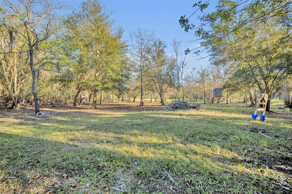 2740 Withlacoochee Point Geneva, FL 32732 - Photo 34 of 41