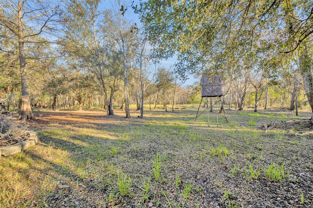 2740 Withlacoochee Point Geneva, FL 32732 - Photo 36 of 41