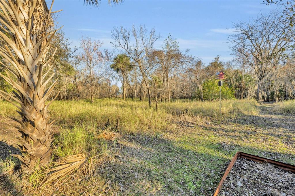 2740 Withlacoochee Point Geneva, FL 32732 - Photo 38 of 41