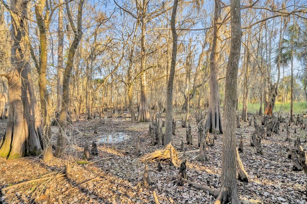 2740 Withlacoochee Point Geneva, FL 32732 - Photo 40 of 41