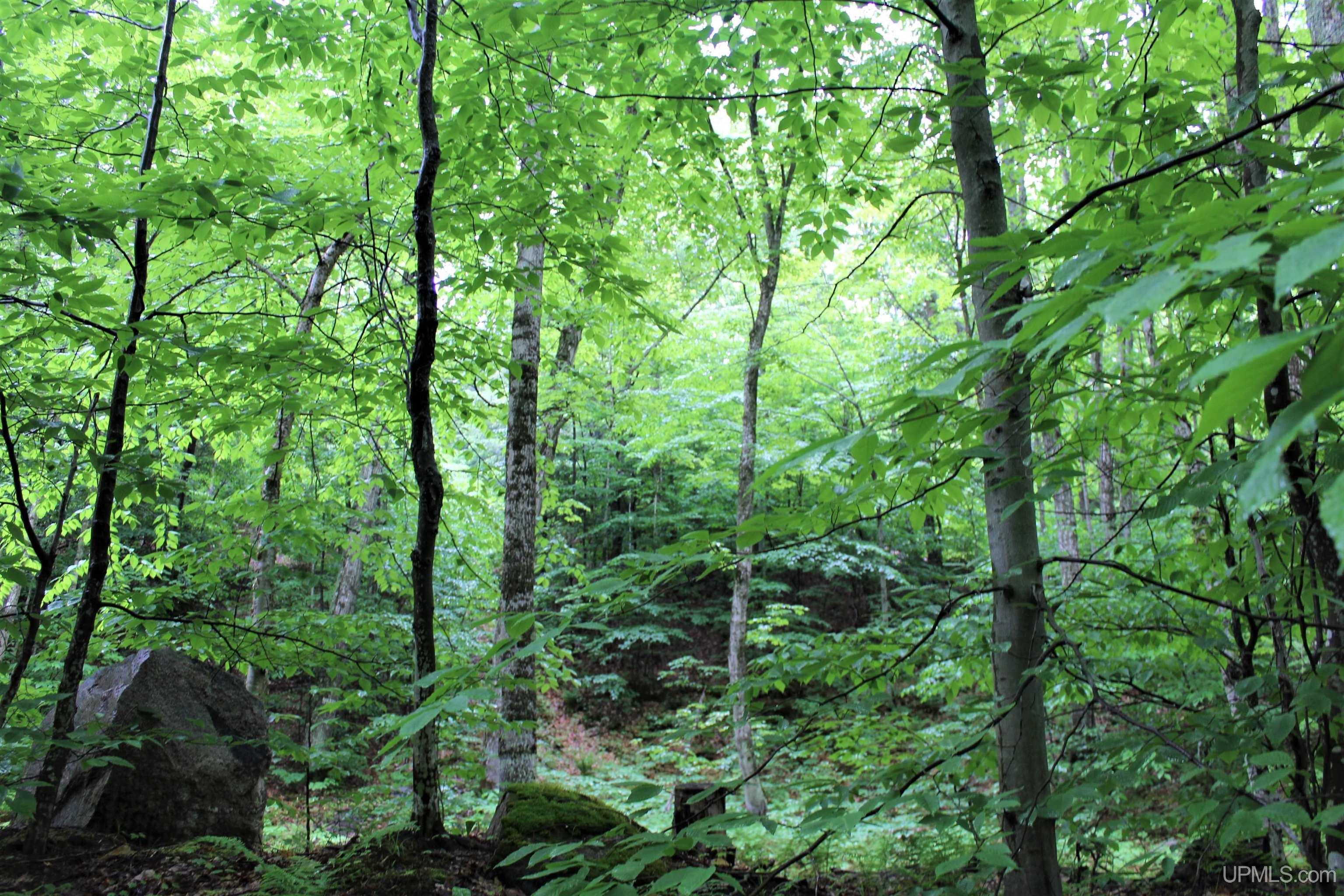 On Gage Road Munising, MI 49862 - Photo 14 of 17