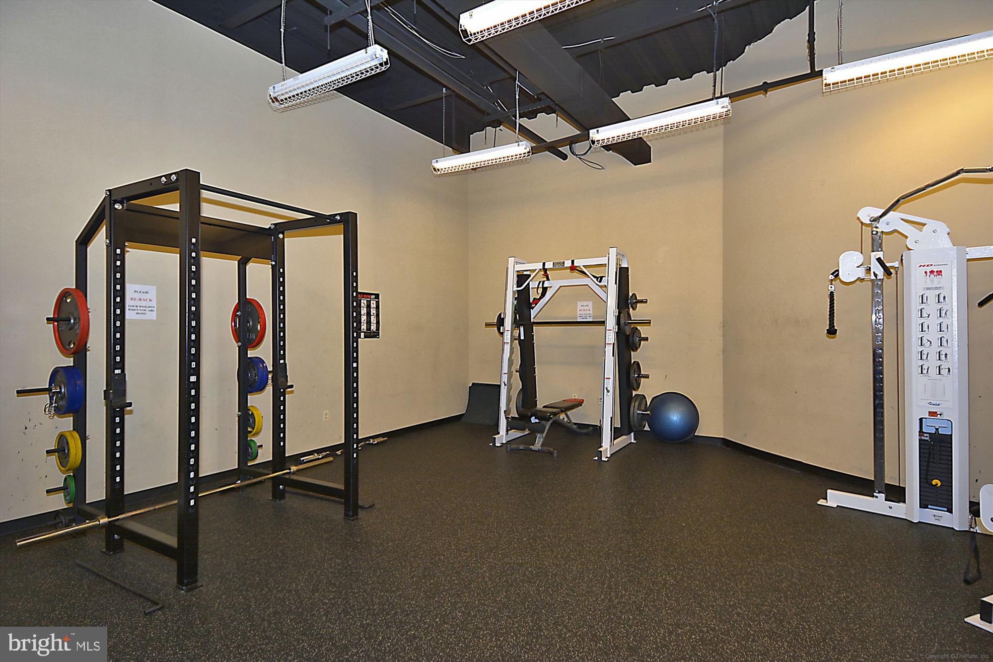 322 Native Dancer Circle Havre de Grace, MD 21078 - Photo 58 of 79 Bulle Rock Club House Free Weights