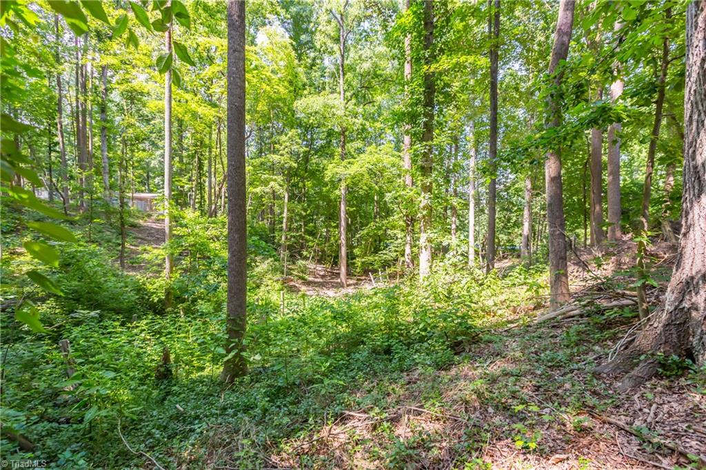 475 Farmstead Road Winston-Salem, NC 27107 - Photo 29 of 33 Gallery Image 29