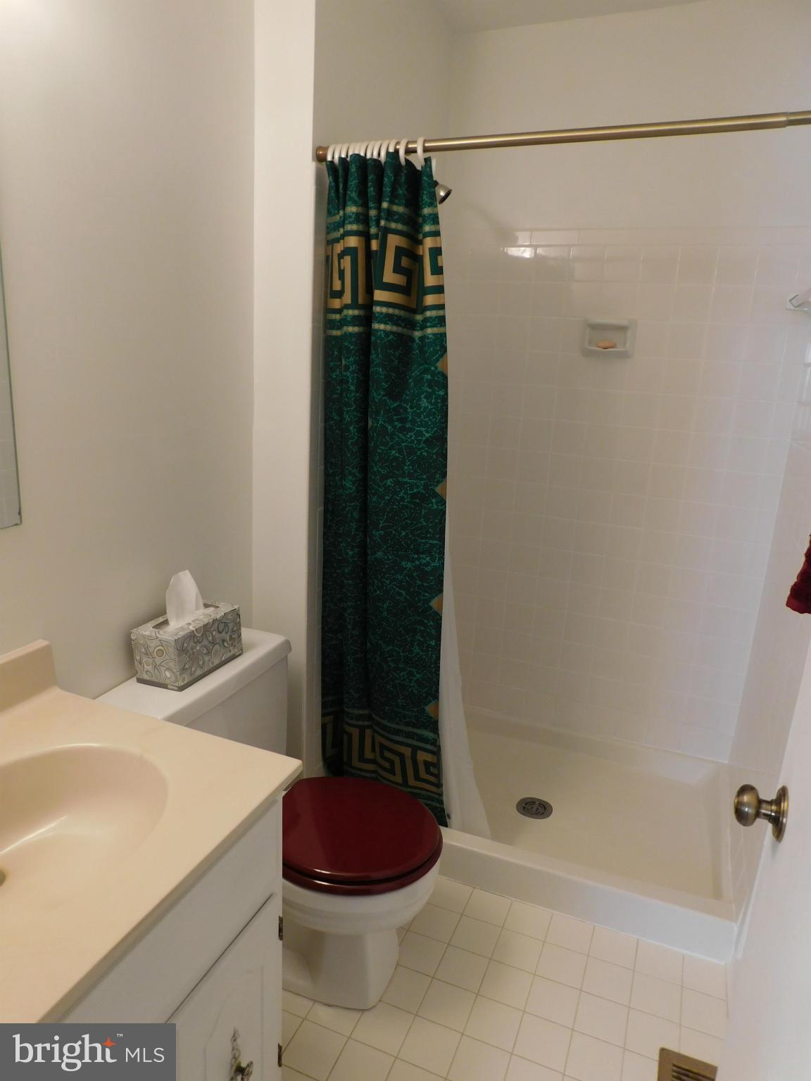 8565 Tyrolean Way Springfield, VA 22153 - Photo 9 of 19 Master Bath w/ Shower