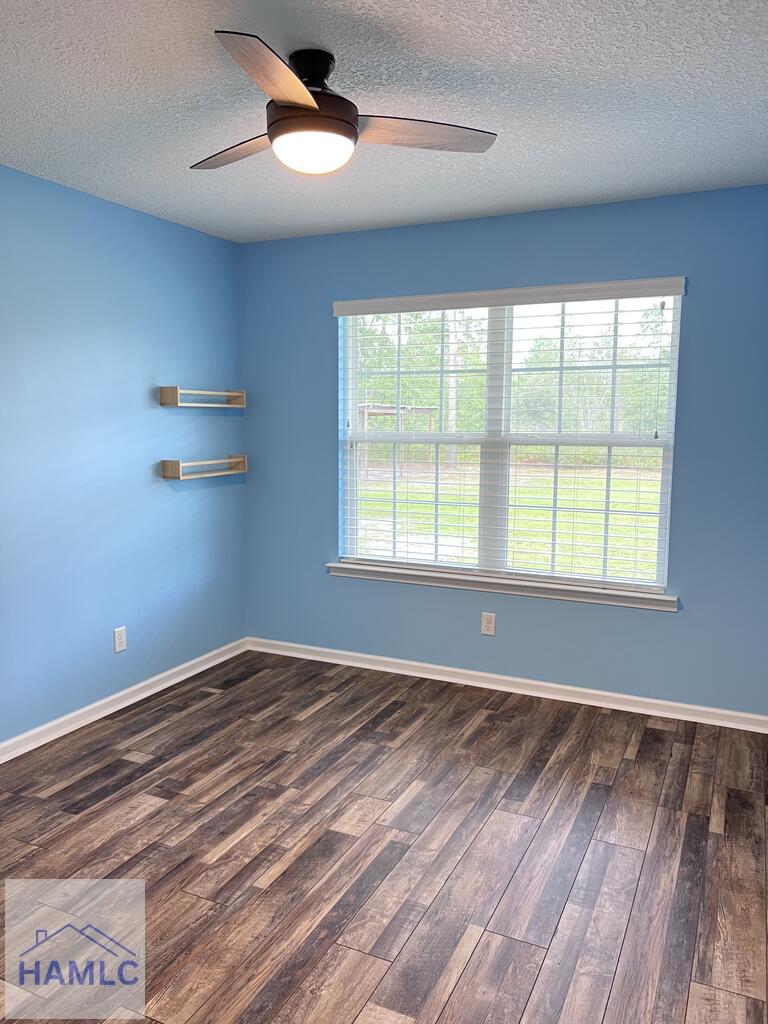 611 Mt Pleasant Road Hortense, GA 31543 - Photo 34 of 42 Gallery Image 34