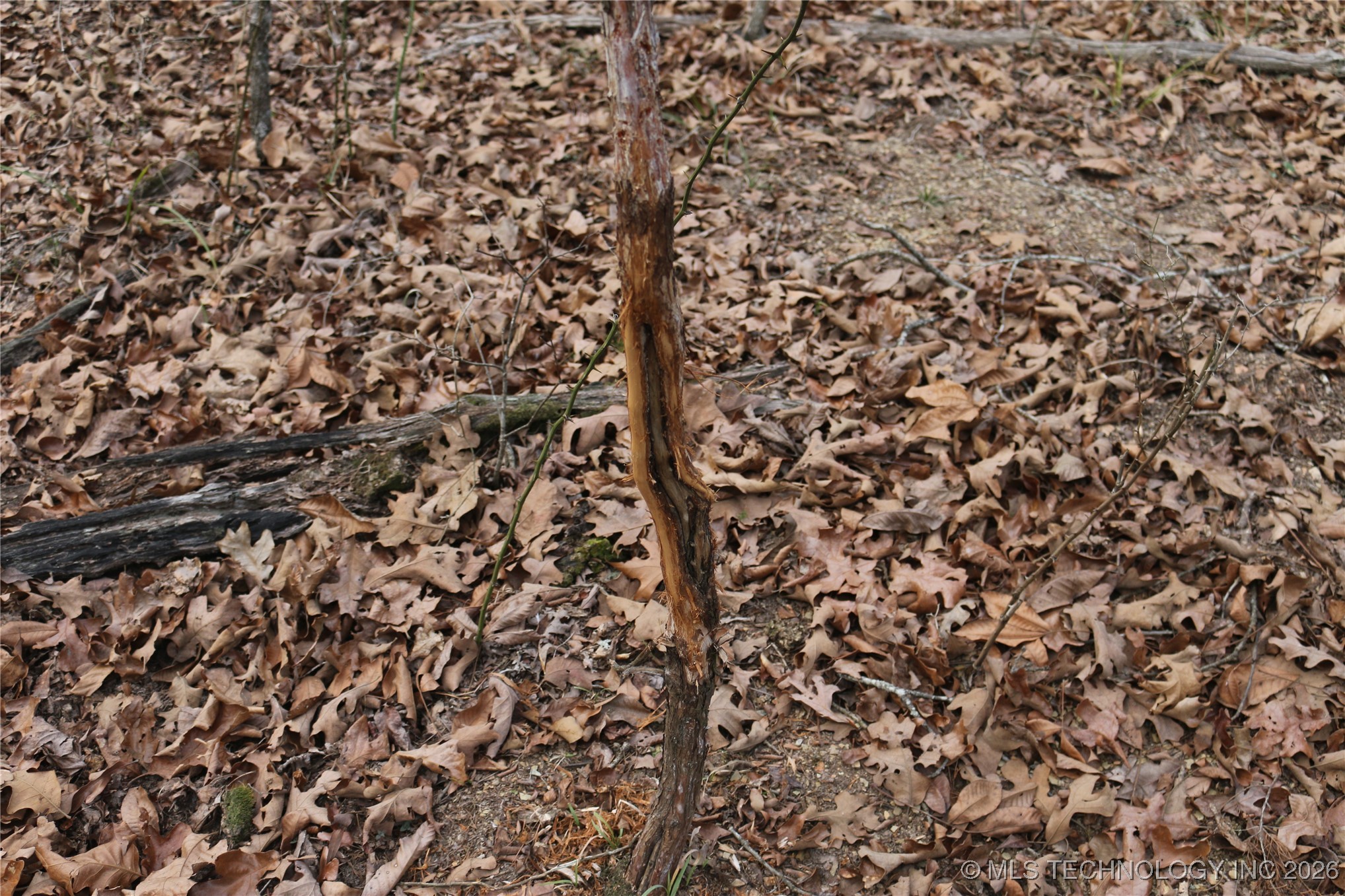 Marsh Loop Loop Smithville, OK 74957 - Photo 62 of 65 Gallery Image 62