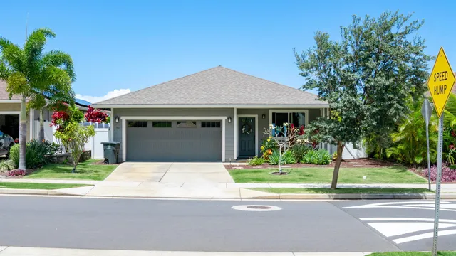 a house with a yard plants and palm trees